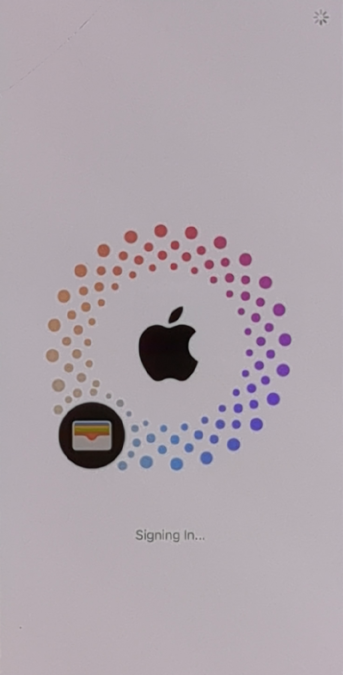 iPhone Apple ID signing in screen during setup process